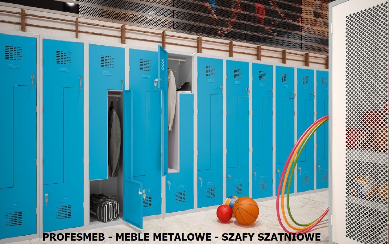 Szafki szkolnne Malow, Wemo, szafa do szatni szkolnej, tanie szafki metalowe do szatni, Kupuj szafki metalowe w Profesmeb w Promocji Producent mebli metalowych socjalnych, szafy i szafki do szatni,ubraniowe, uczniowskie, szatniowe Poznań, Warszawa, Wrcocław, Kraków, Gdańsk